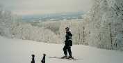 Sutton: a Winter Wonderland